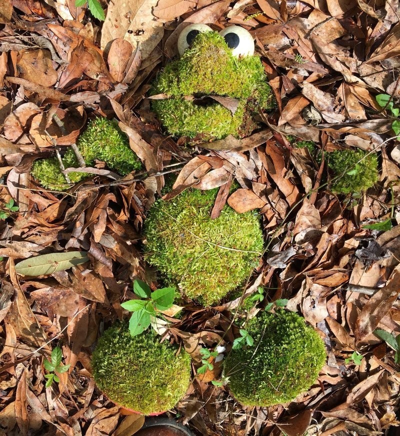 2. Игрушка вернулась в природу