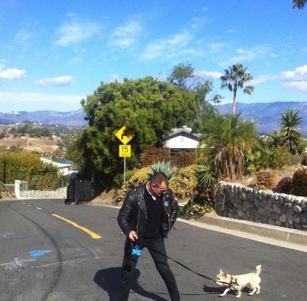 1. Растение безвозмездно соорудило парню крутую причёску-ирокез 1. Растение безвозмездно соорудило парню крутую причёску-ирокез