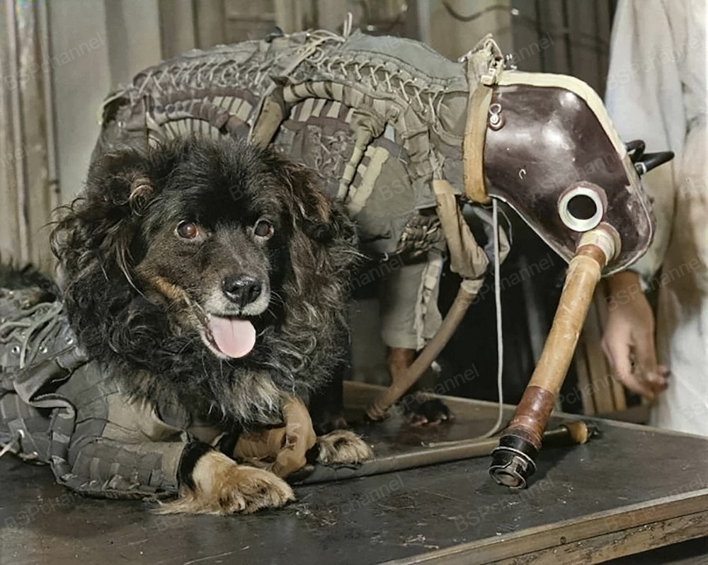 Подборка фотографий из прошлого, которые заставляют удивиться Подборка фотографий из прошлого, которые заставляют удивиться