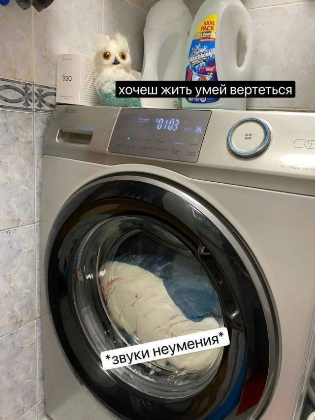 Лучшие шутки и мемы из Сети - 03.10.2025