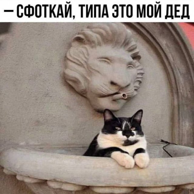 Лучшие шутки и мемы из Сети - 03.10.2025