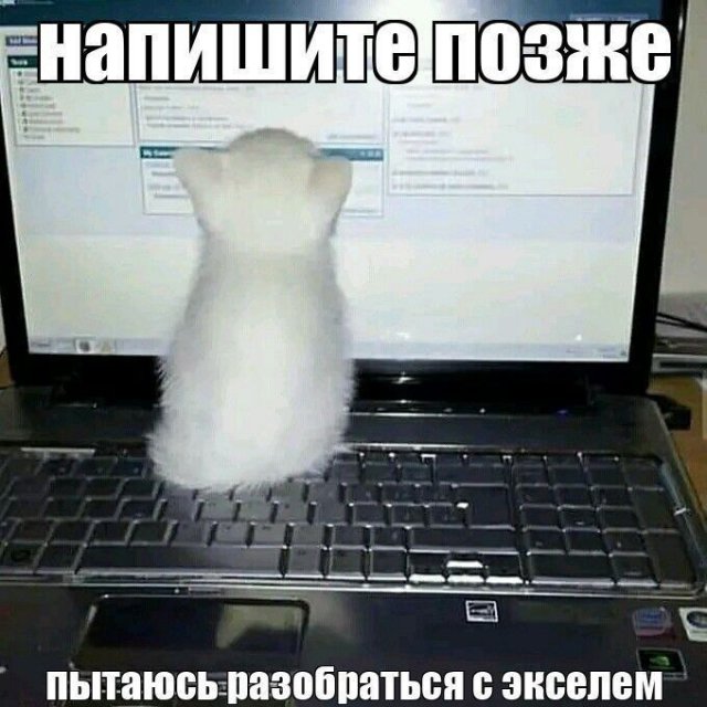 Лучшие шутки и мемы из Сети - 03.10.2025