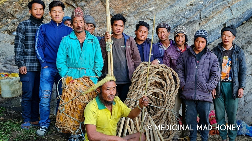 Гималайские пчёлы: их мёд вызывает галлюцинации, а их ульи — размером с человека! Гималайские пчёлы: их мёд вызывает галлюцинации, а их ульи — размером с человека!