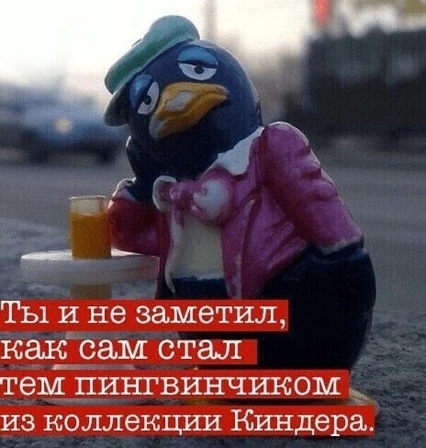 14. Не заметили, как превратились в того самого грустного пингвинчика в баре 14. Не заметили, как превратились в того самого грустного пингвинчика в баре