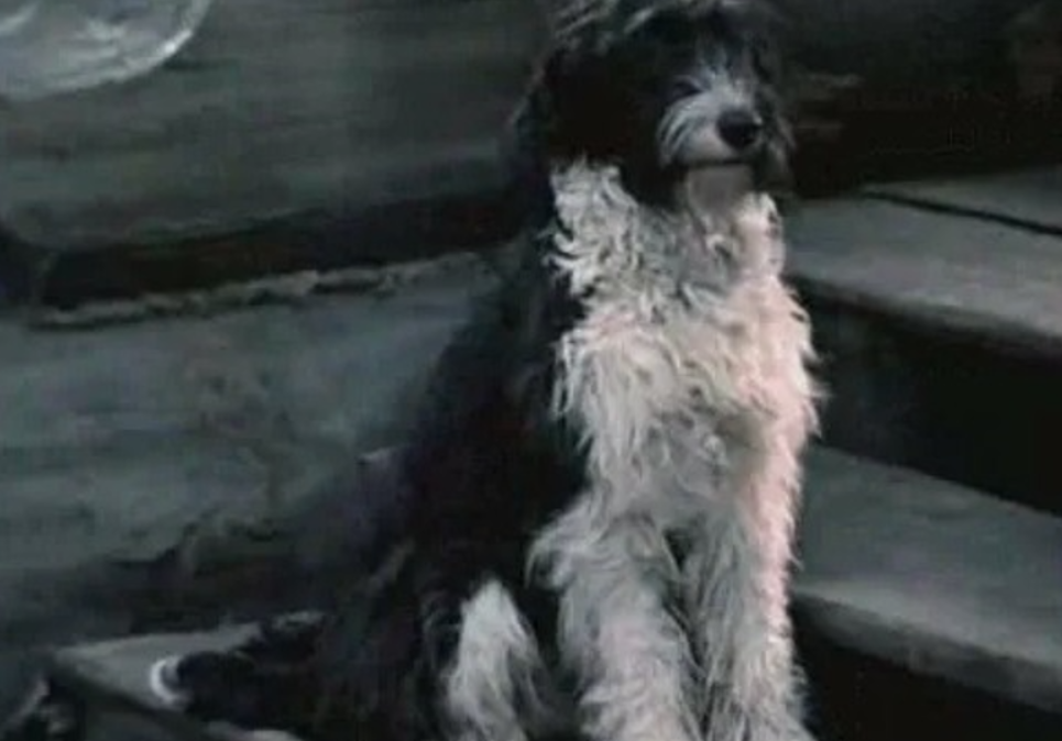 Как снимали фильм "Сказка о потерянном времени": кадры со съемок и 10 интересных фактов о фильме Как снимали фильм "Сказка о потерянном времени": кадры со съемок и 10 интересных фактов о фильме