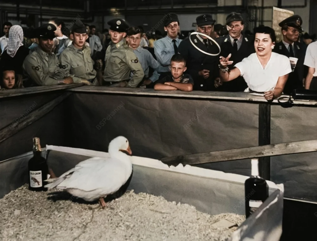 Американцы из ВВС США празднуют Октоберфест в Нойбиберге, Германия, 1957 год.