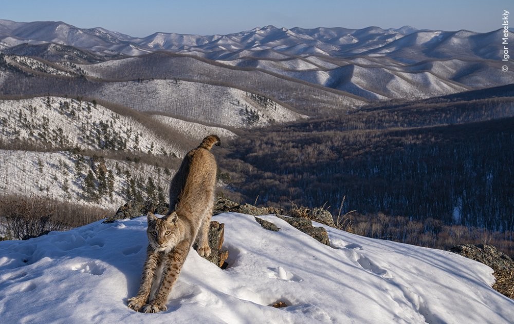 От этого глаза просто невозможно оторвать глаз
