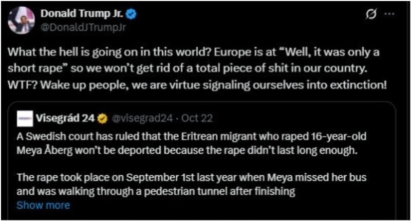 В Швеции мигрант изнасиловал подростка, но суд встал на его сторону и отказал в депортации В Швеции мигрант изнасиловал подростка, но суд встал на его сторону и отказал в депортации