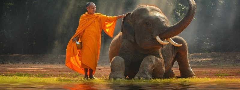 12. Так выглядит безмятежность