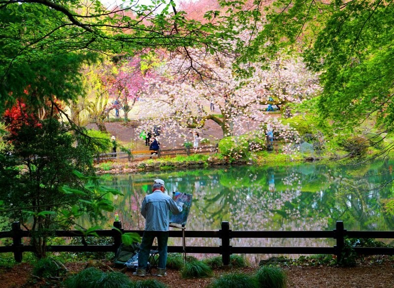 7. Цветущая вишня вне времени и пространства в парке Синдзюку Гёэн, Токио