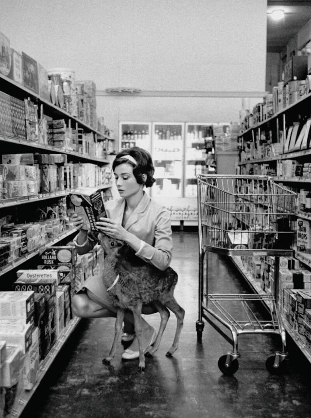 Одри Хэпберн в магазине Беверли Хиллз вместе со своим домашним оленем, 1956 год.