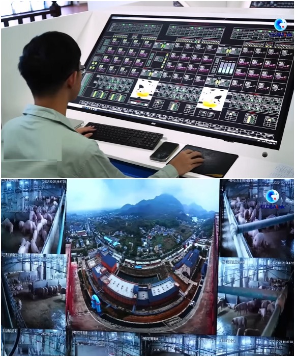 Все процессы контролируют интеллектуальные системы, сотрудникам остается лишь мониторить данные и вести видеонаблюдение (GLOBALink, Китай). Все процессы контролируют интеллектуальные системы, сотрудникам остается лишь мониторить данные и вести видеонаблюдение (GLOBALink, Китай).