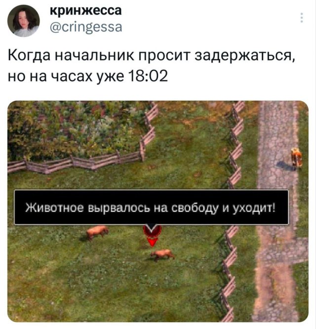 Подборка забавных твитов обо всем