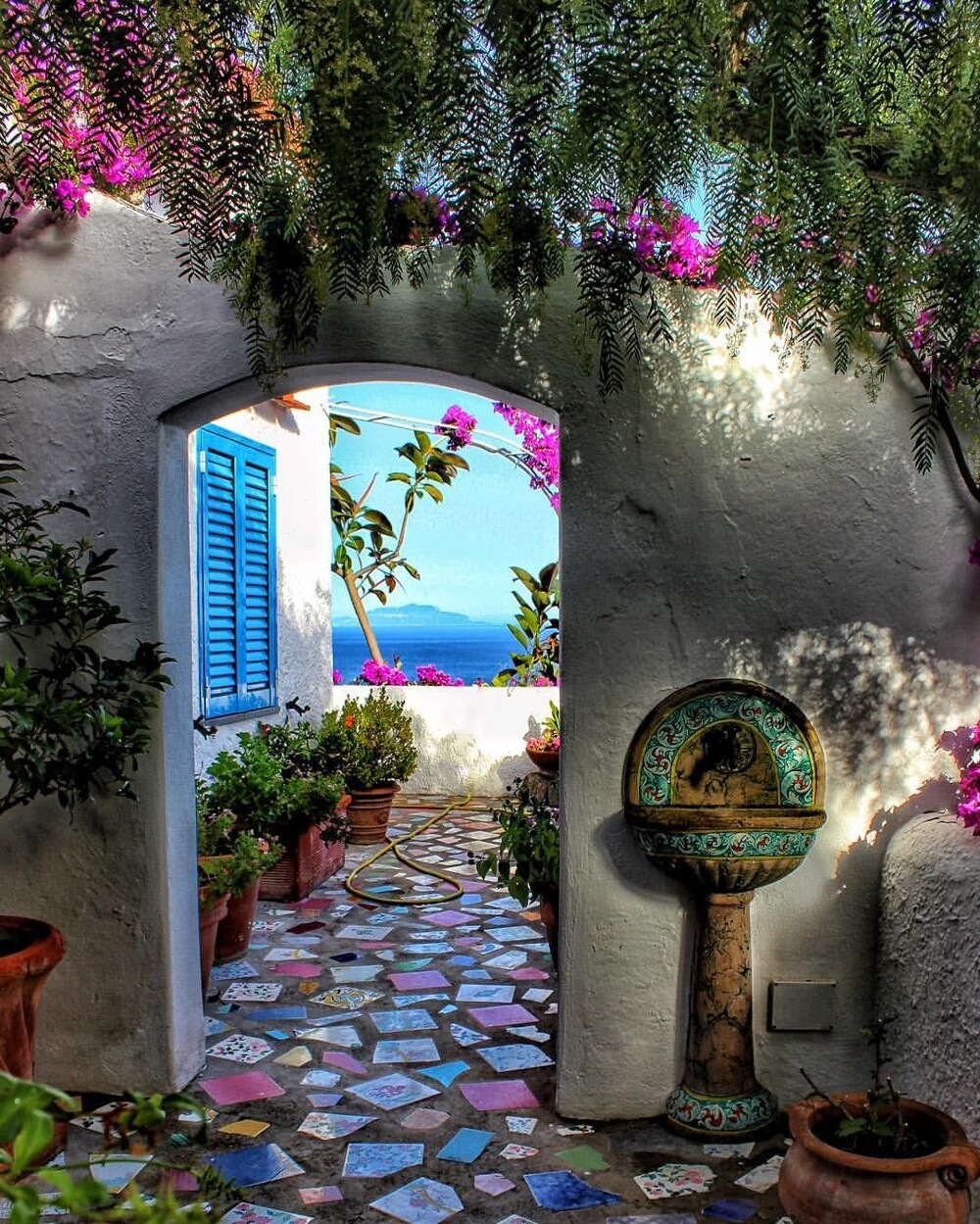 13. Цветущая бугенвиллия на острове Искья, Италия