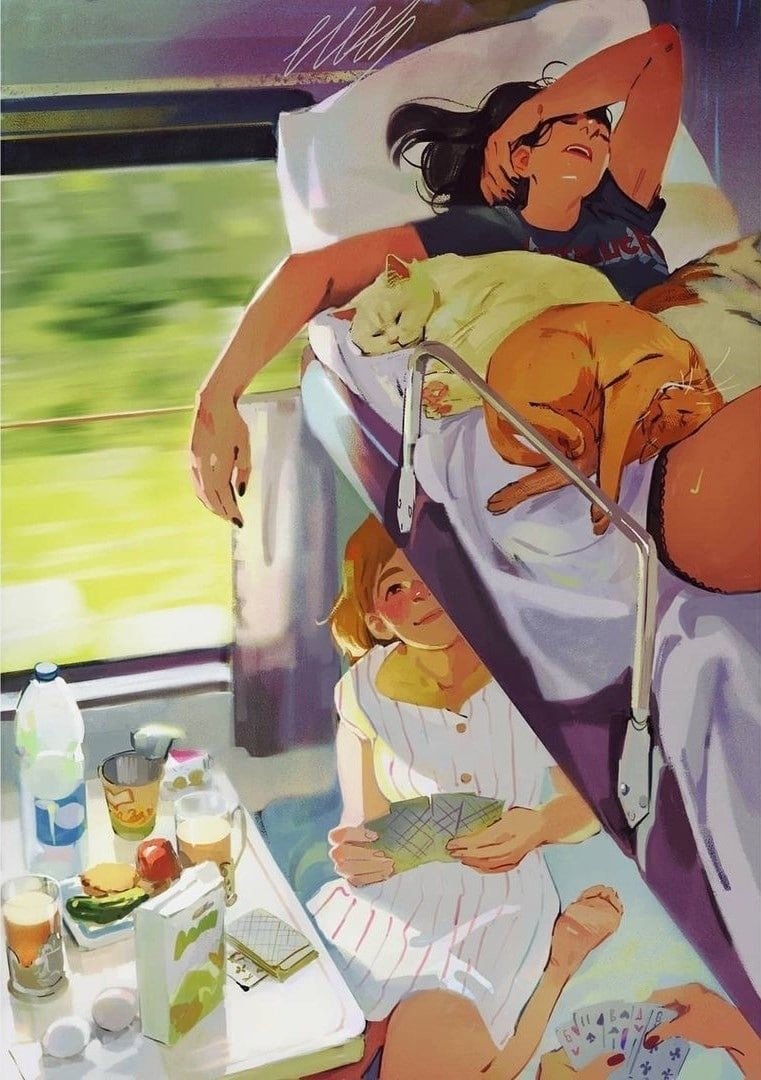 Плацкарт и котики!