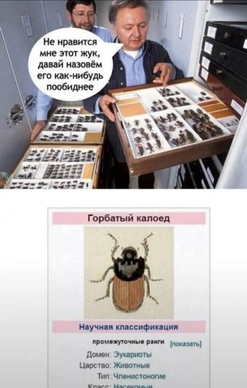 Дерьмовые шутки