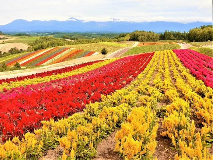 Земля против реальности: 18 захватывающих фото