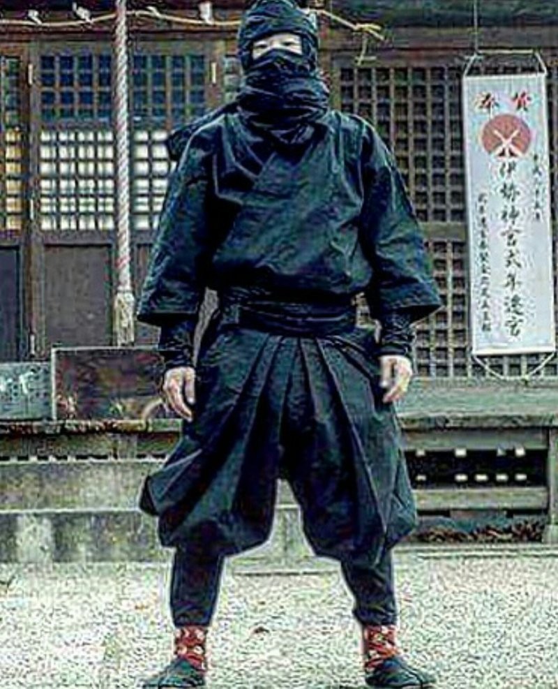 5. Свои среди чужих