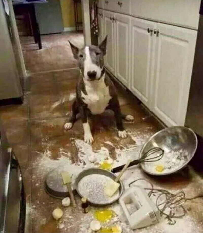 14. Замысел был безупречен, а реализация слегка подкачала