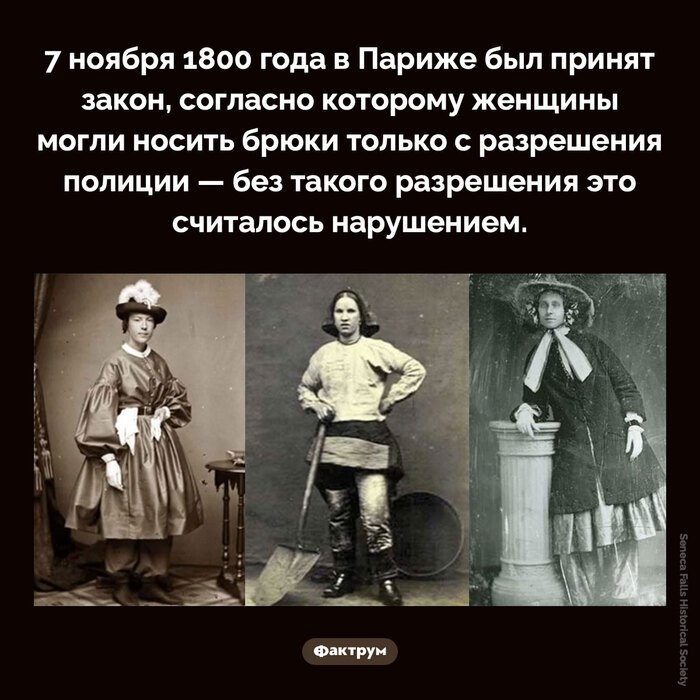 Подборка интересных фактов