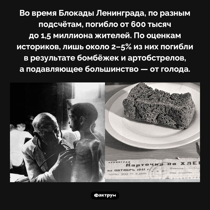 Подборка интересных фактов