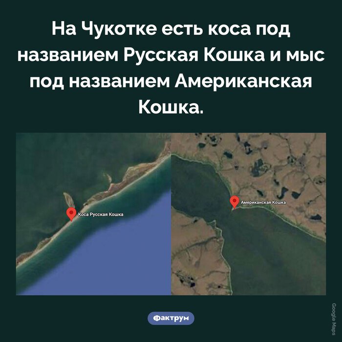 Подборка интересных фактов