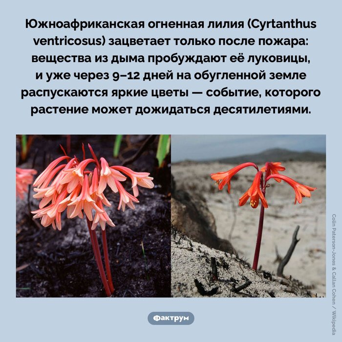 Подборка интересных фактов