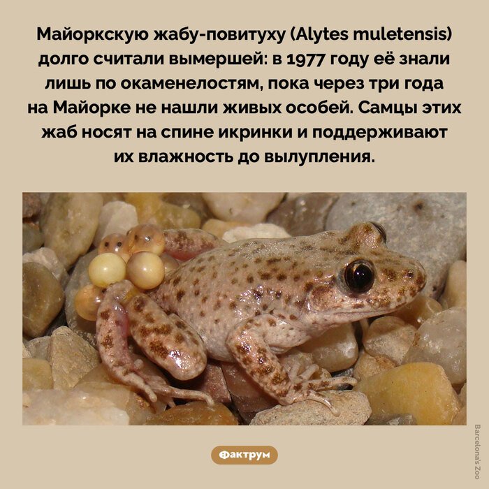 Подборка интересных фактов