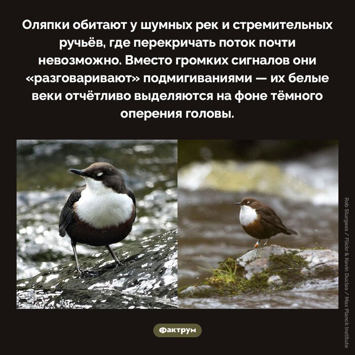 Подборка интересных фактов