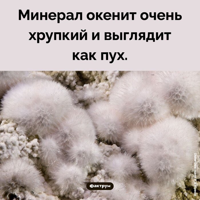 Подборка интересных фактов