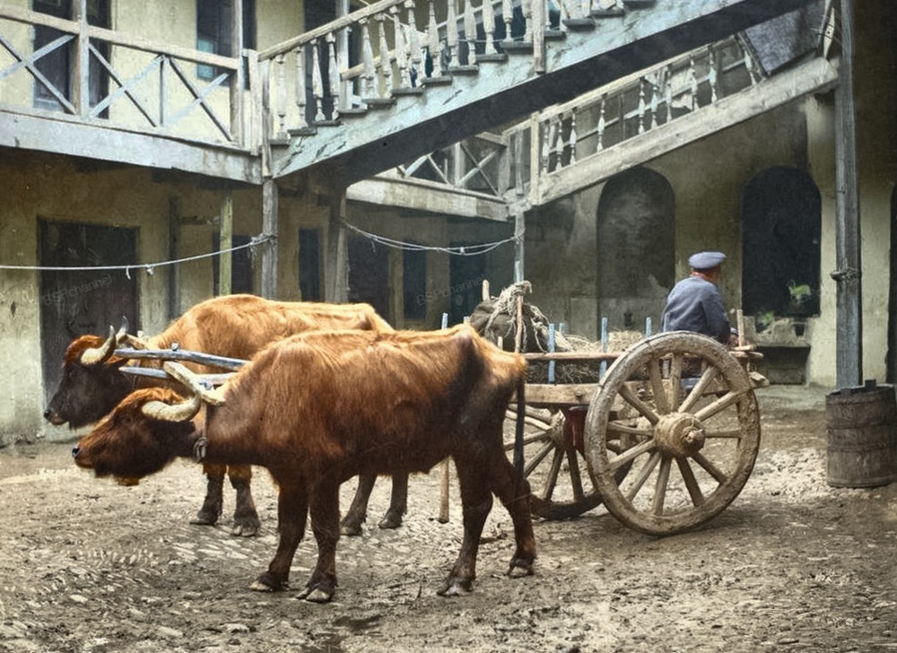 Подборка интересных и необычных фотографий Российской Империи