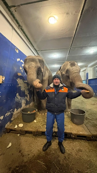 Источник: Дмитрий Иванов / Vk.com