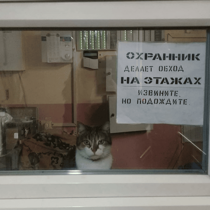 Извините, но подождите Извините, но подождите