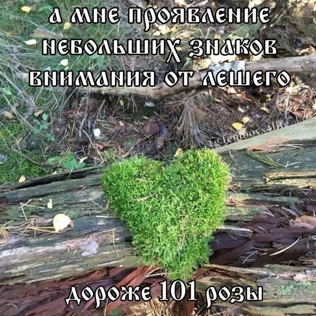 Лучшие шутки и мемы из Сети - 05.06.2026