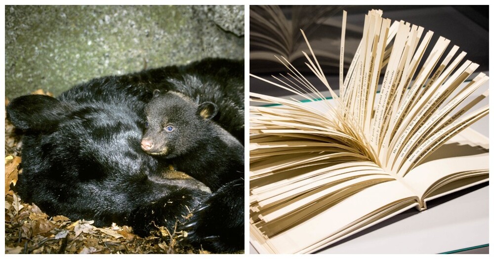 10 фактов, которые заставят пошатнуться ваши представления о реальности