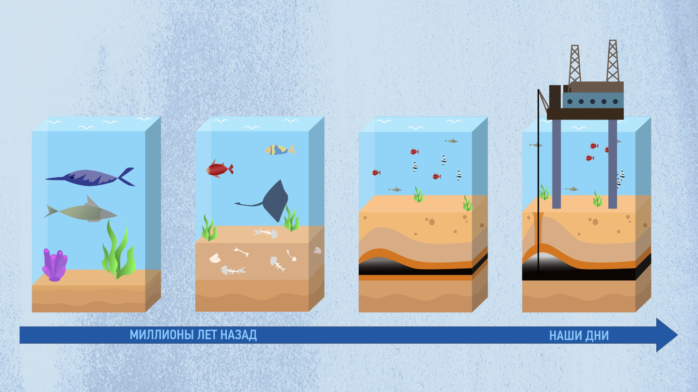 как зарождается нефть
