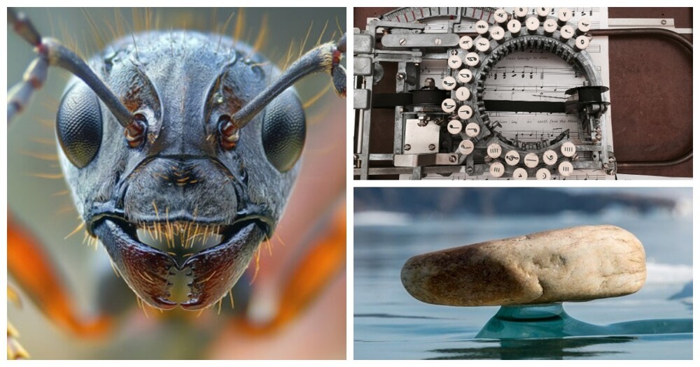 25 фотографий, которые изменят ваши привычные представления о мире