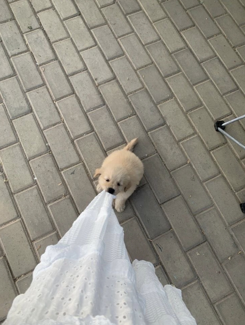 7. Пора гулять! 7. Пора гулять!