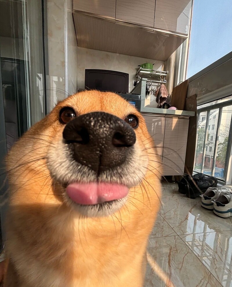 20. Прирождённая фотомодель 20. Прирождённая фотомодель