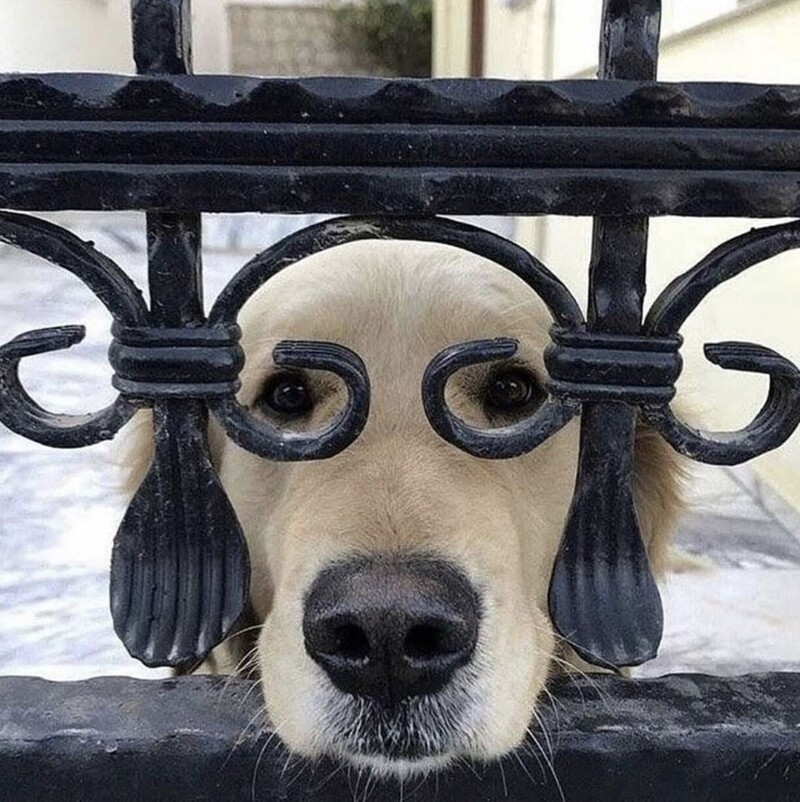 23. Маска, я тебя знаю? 23. Маска, я тебя знаю?