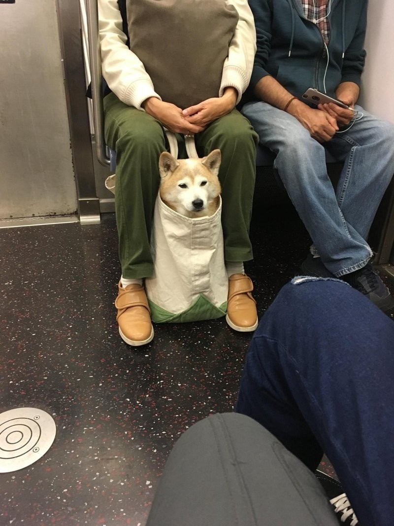 18. Упакован, но не сломлен 18. Упакован, но не сломлен