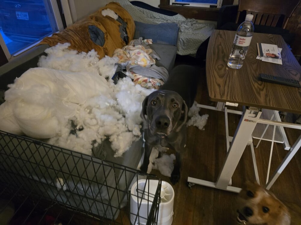 14. Здорово получилось, правда? 14. Здорово получилось, правда?