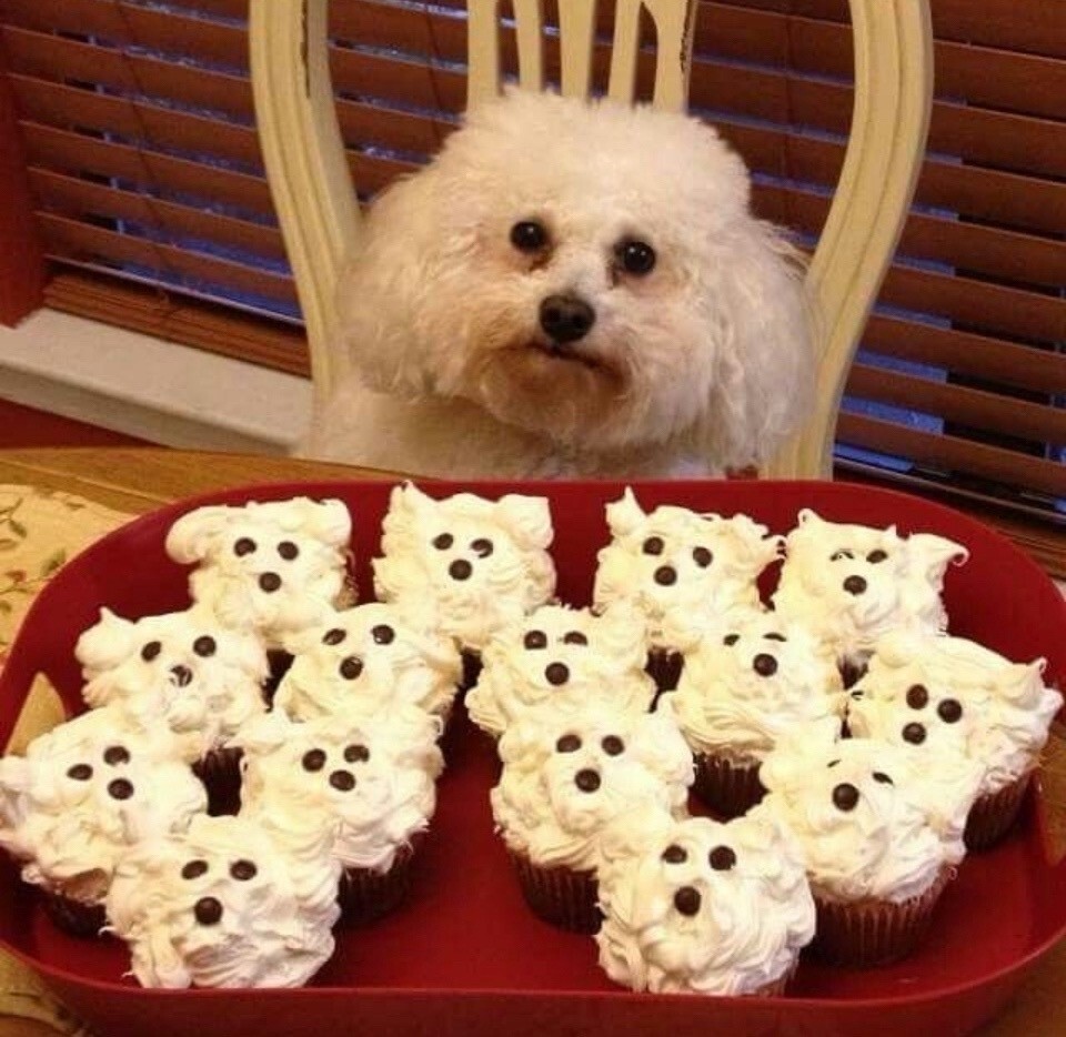 24. Фотографическое сходство 24. Фотографическое сходство