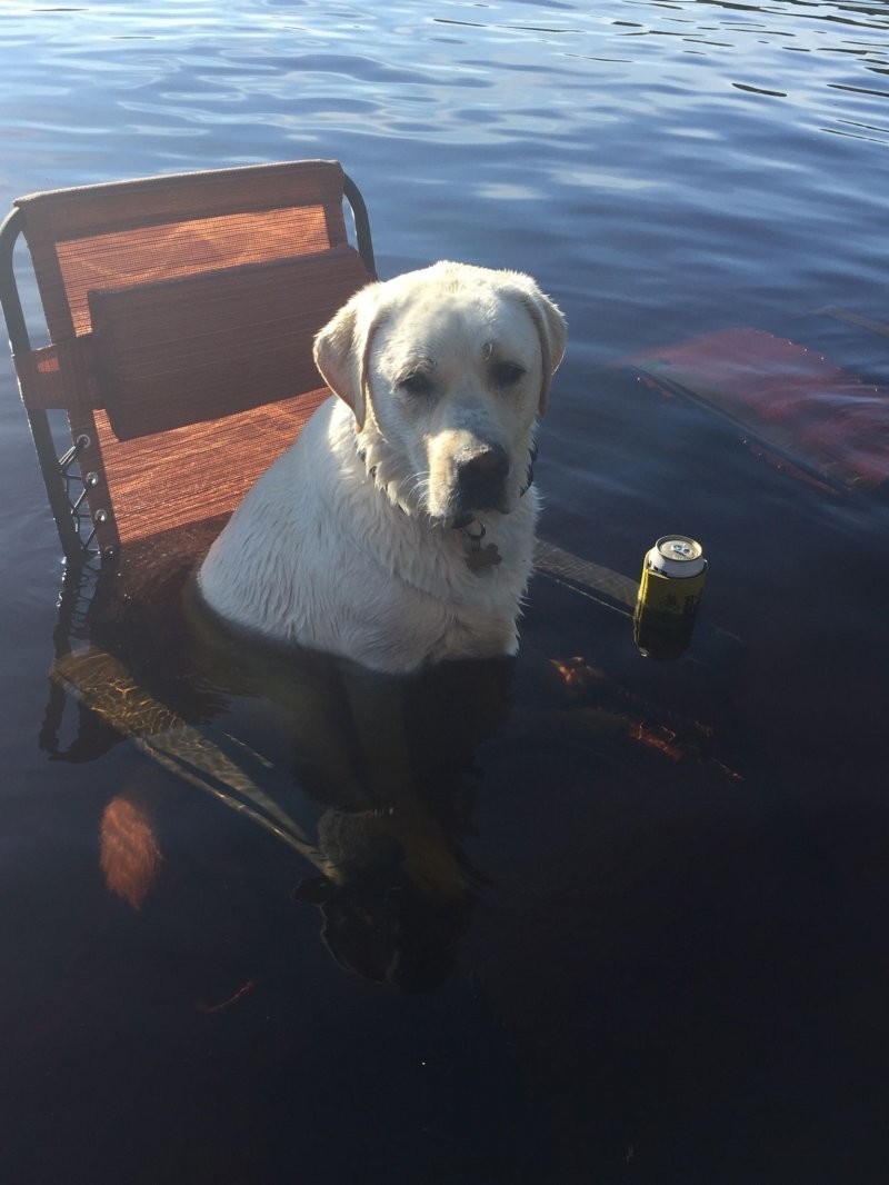 13. Спокойствие, только спокойствие 13. Спокойствие, только спокойствие