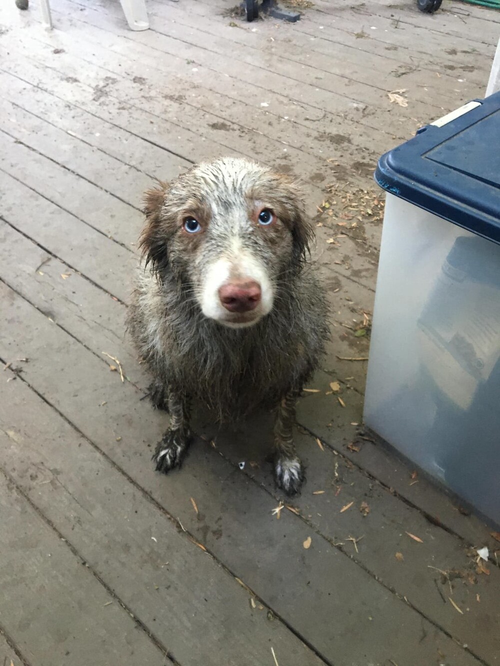 17. Я погулял 17. Я погулял