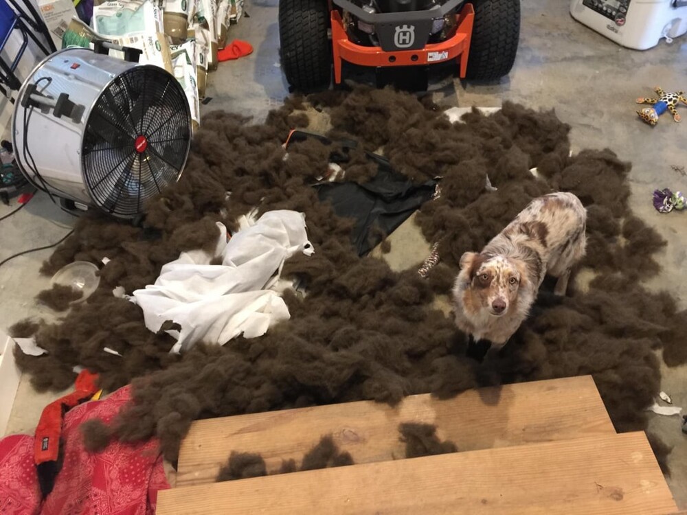 8. Послушание - моё второе имя 8. Послушание - моё второе имя