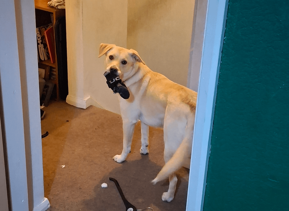 28. Куда уходят носки? 28. Куда уходят носки?