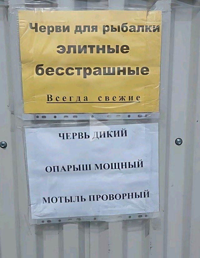Веселые картинки