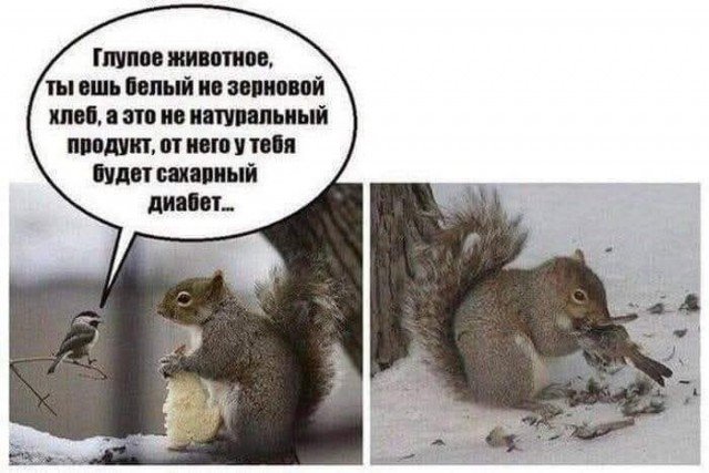 Веселые картинки