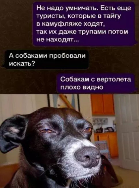 Веселые картинки 19.03